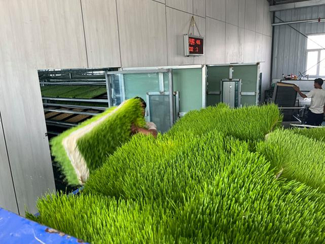 fodder feeding system.jpg