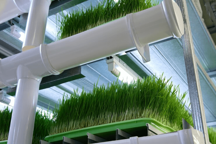 How to Control Water Quality and Flow Rate in Hydroponic Fodder Cultivation