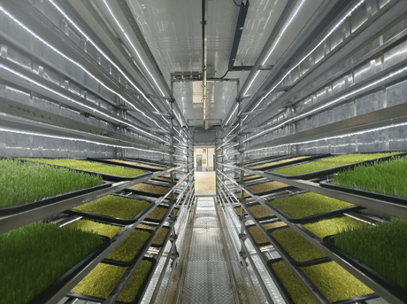fodder grow system.png