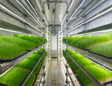 container fodder solution.jpeg